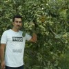گردوهای کوچک، رویاهای بزرگ؛ سفر نهال گردو به دنیای سبز